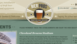 Bier Pros Website Thumbnail
